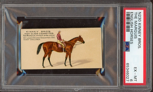 N230 KINNEY 1889 ENGLISH RUNNING HORSES The Marquis (PSA 6 EX/MT) Challoner