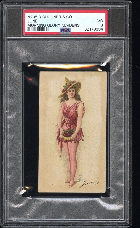 1888 N285 D. Buchner & Co. Morning Glory Maidens "JUNE" (PSA 3 VG) RARE