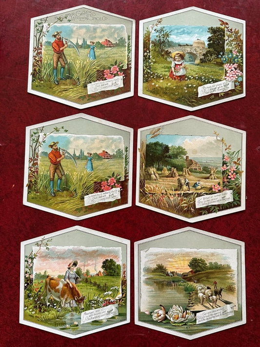 (Set of 6) Victorian Trade Cards Lion Coffee Midsummer Greeting Excellent Cond.