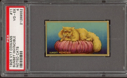 1925 V17 Cowan's "Noted Cats" Sunset Invincible #11 (PSA 4 VG/EX)