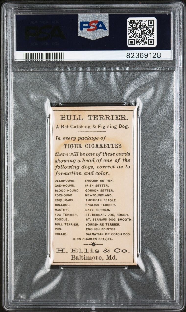 1890 N375 H. Ellis Breeds of Dogs BULL TERRIER (PSA 2 GD) Tiger Cigarettes