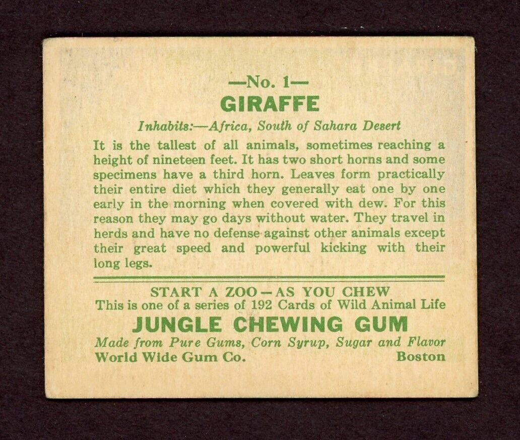 R78 World Wide Gum JUNGLE GUM 1930 #1 Giraffe (First Card in Set) VG+