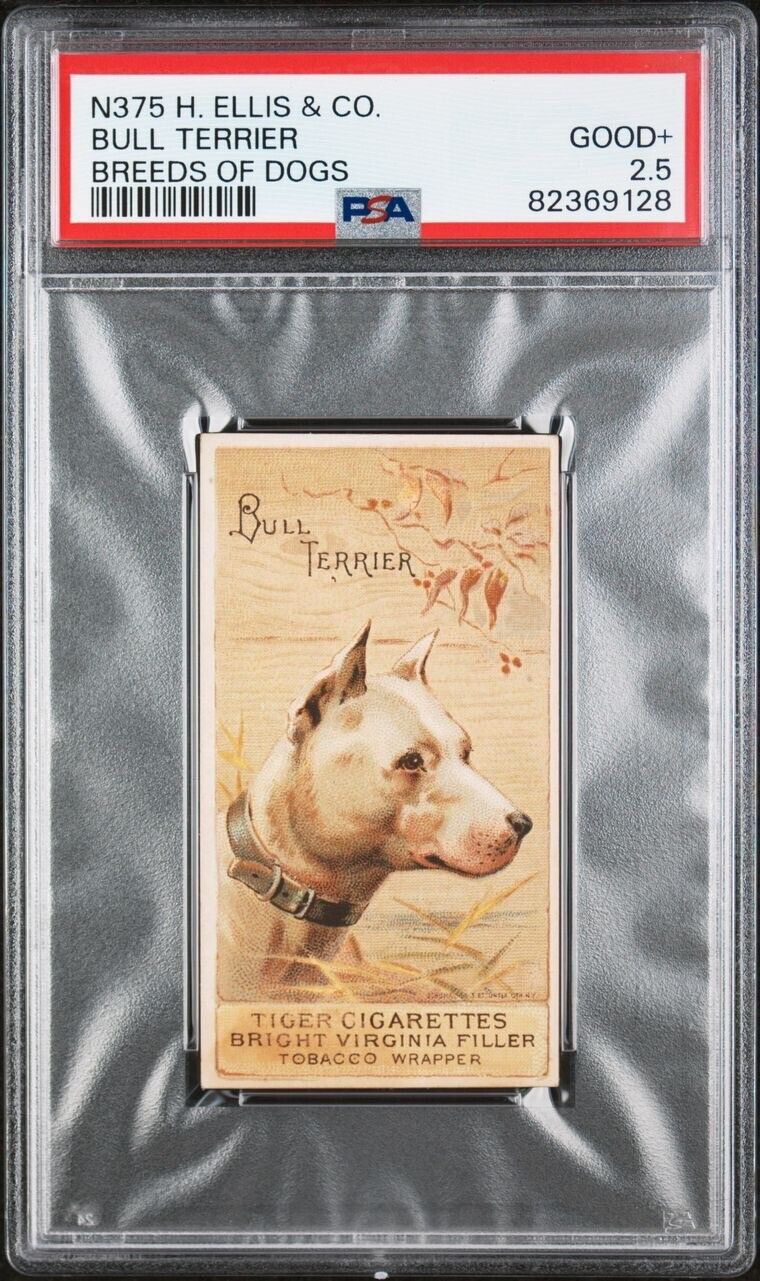 1890 N375 H. Ellis Breeds of Dogs BULL TERRIER (PSA 2 GD) Tiger Cigarettes