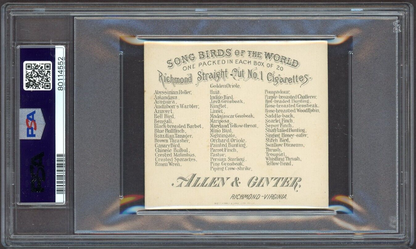 1888 N42 ALLEN & GINTER "SONG BIRDS" CANARY BIRD (PSA 4 VG/EX)