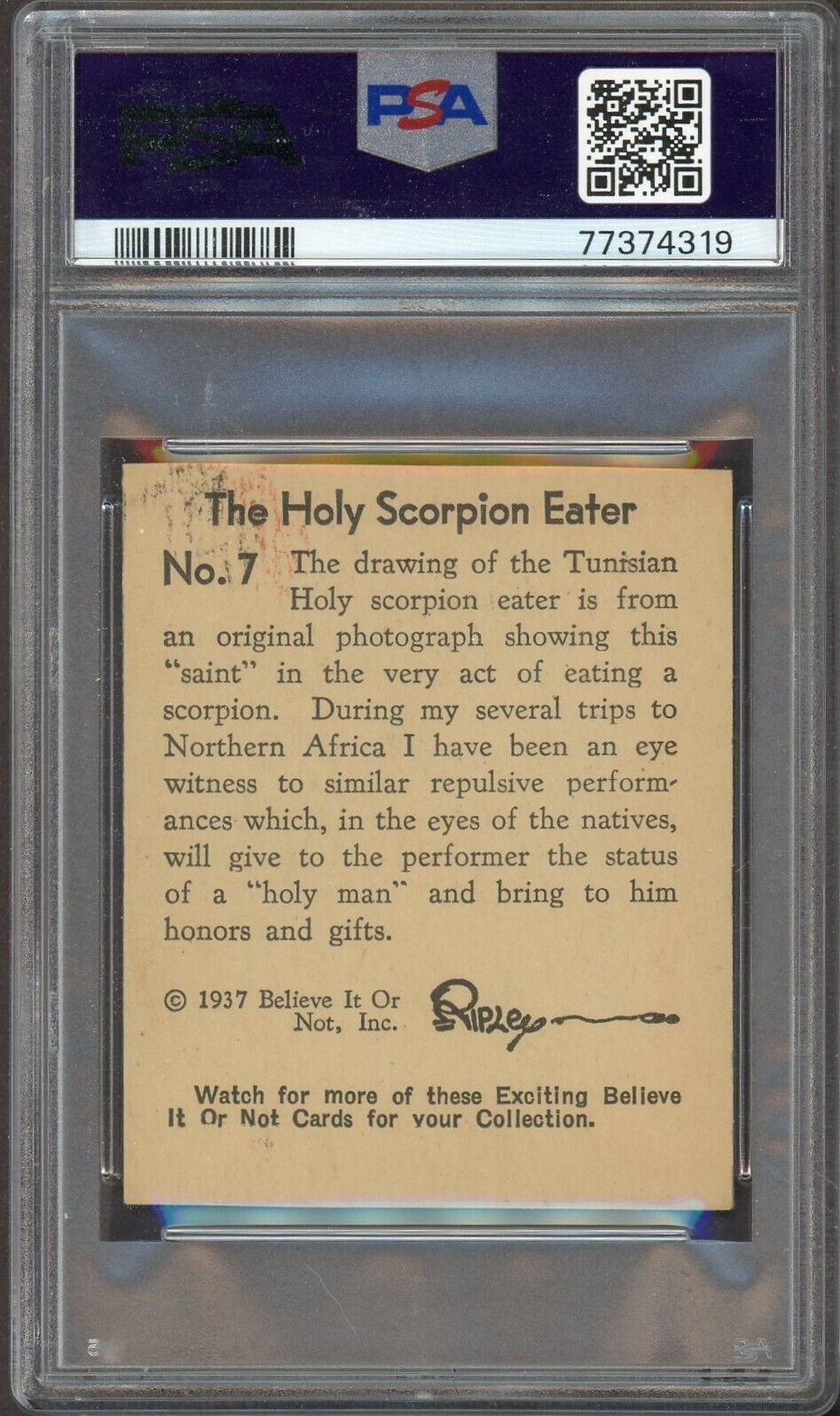 1937 Ripley's Believe It Or Not #7 Holy Scorpion Eater (PSA 5 EX) Gum Card