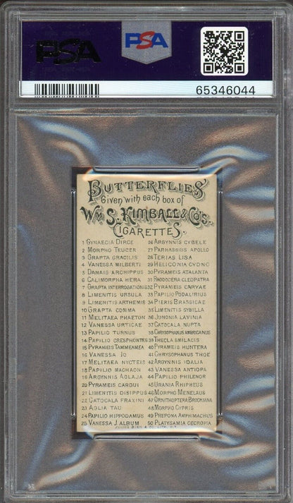 1888 N183 W.S. Kimball  & Co. Butterflies ARGYNNIS CYBELE #26 (PSA 6 EX/MT)
