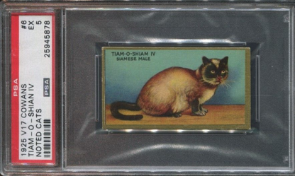 1925 V17 Cowan's "Noted Cats" #6 Tiam-0- Shian IV (PSA 4 VG/EX)